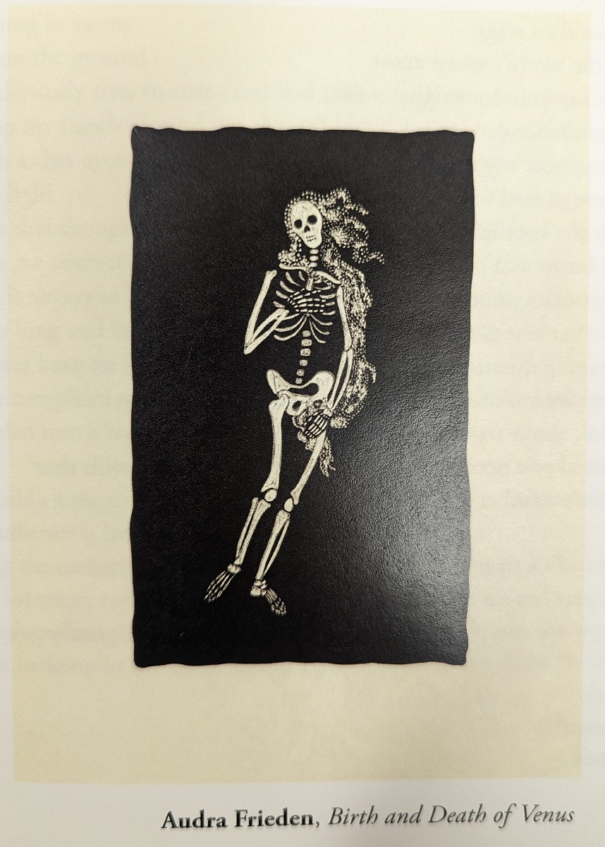 Illustration of Aphrodite (from the Birth of Venus) as a skeleton